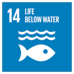 SDG Goals Logo