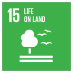 SDG Goals Logo